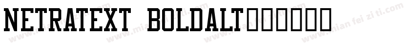 netratext boldalt字体转换